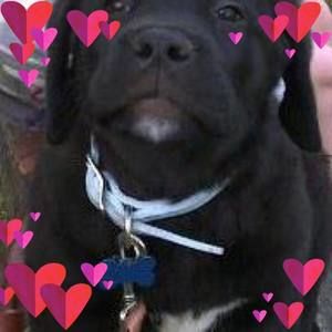 Meet your Posher, Stacey